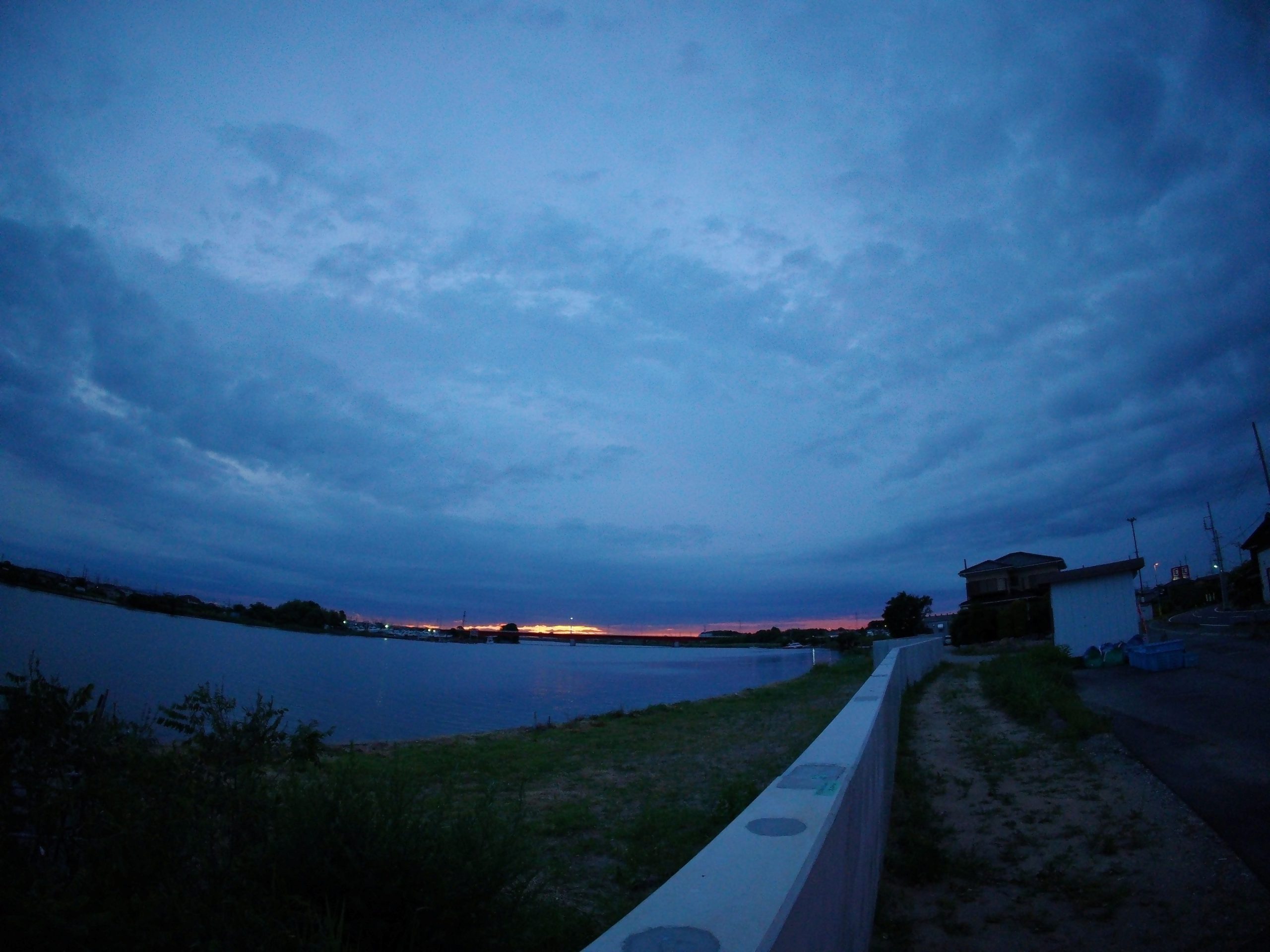 散歩　ガンバレ　250624